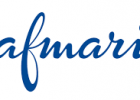 safmarine logo
